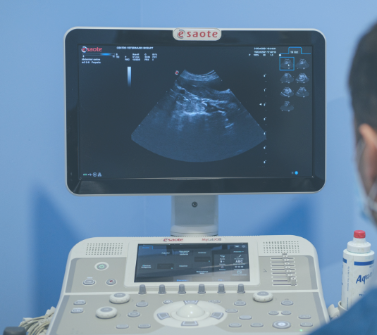 DIAGNOSTICO POR IMAGEN LA MOTA